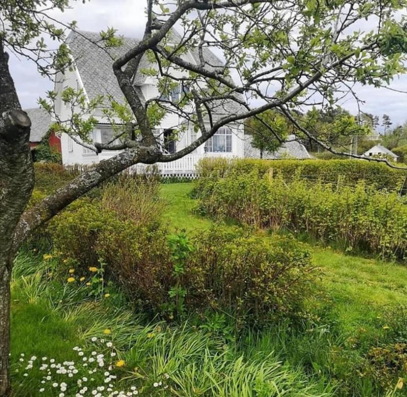 Shared Farmhouse Stavanger Esterno foto